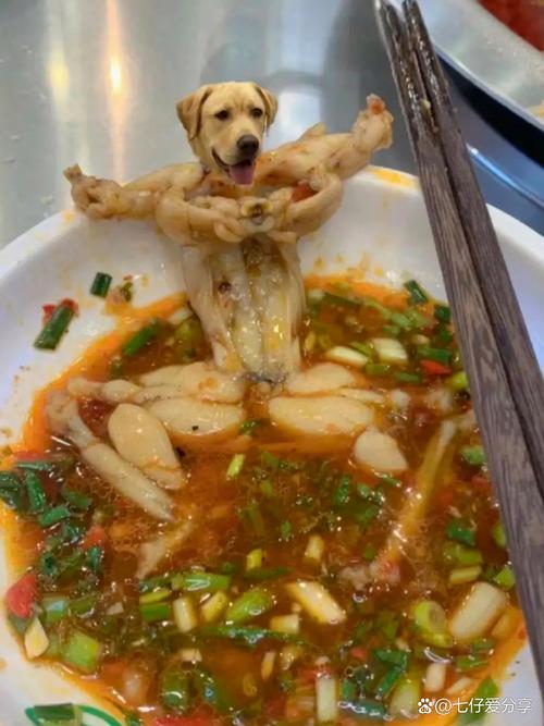 狗狗可以吃牛蛙吗,狗能吃牛蛙肉吗-第5张图片-后鲨宠物 狗狗可以吃牛蛙吗,狗能吃牛蛙肉吗-第5张图片-后鲨宠物