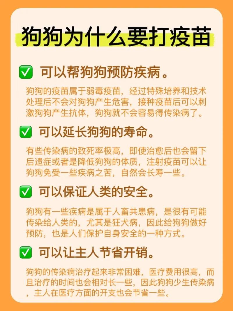 狗狗打狂犬疫苗有什么用,狗狗打狂犬疫苗管用吗?-第2张图片-后鲨宠物 狗狗打狂犬疫苗有什么用,狗狗打狂犬疫苗管用吗?-第2张图片-后鲨宠物