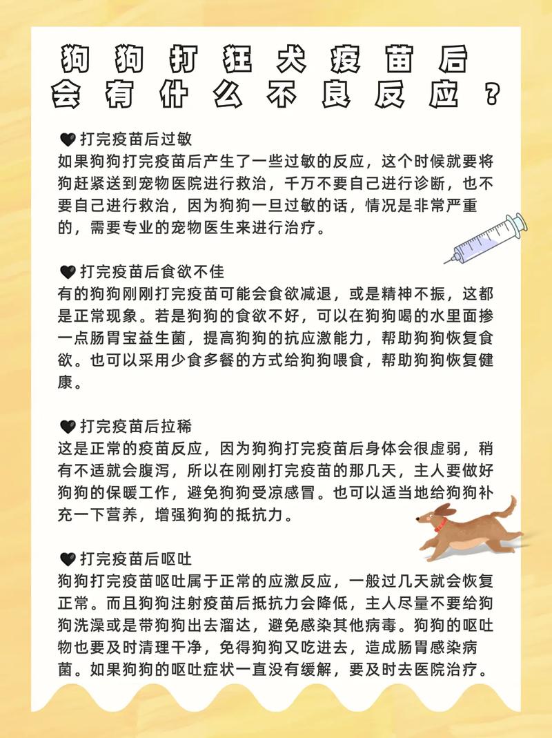 狗狗打狂犬疫苗有什么用,狗狗打狂犬疫苗管用吗?-第6张图片-后鲨宠物 狗狗打狂犬疫苗有什么用,狗狗打狂犬疫苗管用吗?-第6张图片-后鲨宠物