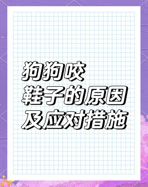 为什么狗狗喜欢咬拖鞋,狗狗为什么喜欢咬我拖鞋?-第5张图片-后鲨宠物 为什么狗狗喜欢咬拖鞋,狗狗为什么喜欢咬我拖鞋?-第5张图片-后鲨宠物