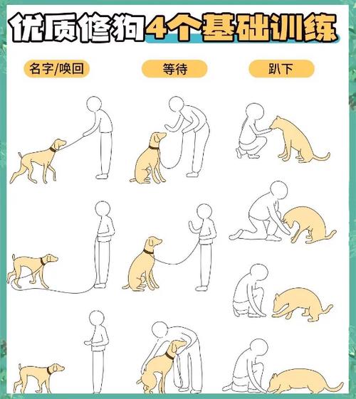 怎么训练狗狗不乱叫_怎么训练狗狗不乱叫不乱咬?-第1张图片-后鲨宠物 怎么训练狗狗不乱叫_怎么训练狗狗不乱叫不乱咬?-第1张图片-后鲨宠物