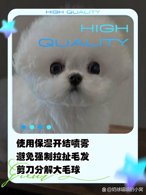 狗狗毛打结怎么办_狗狗毛全部打结怎么办-第3张图片-后鲨宠物 狗狗毛打结怎么办_狗狗毛全部打结怎么办-第3张图片-后鲨宠物