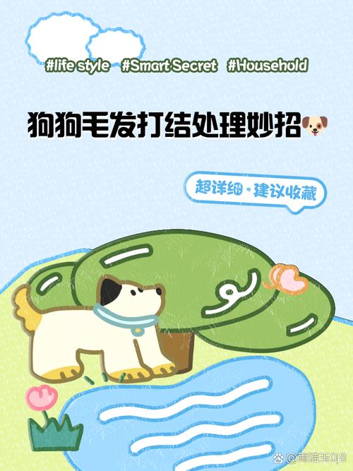 狗狗毛打结怎么办_狗狗毛全部打结怎么办-第5张图片-后鲨宠物 狗狗毛打结怎么办_狗狗毛全部打结怎么办-第5张图片-后鲨宠物