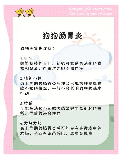 狗狗肠胃炎症状,狗狗肠胃炎症状吃什么药好得快-第1张图片-后鲨宠物 狗狗肠胃炎症状,狗狗肠胃炎症状吃什么药好得快-第1张图片-后鲨宠物