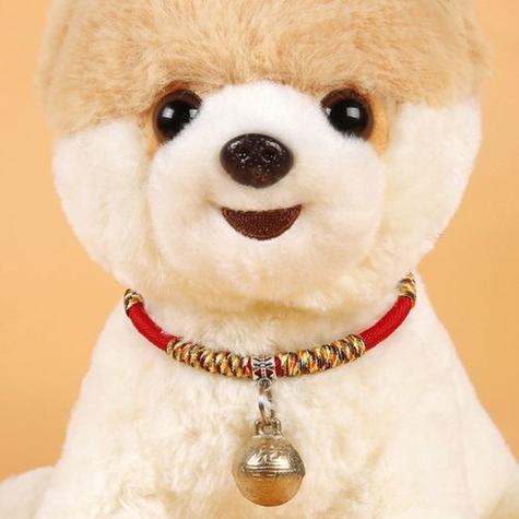 狗狗能带铃铛吗,狗狗可以带小铃铛吗?-第3张图片-后鲨宠物 狗狗能带铃铛吗,狗狗可以带小铃铛吗?-第3张图片-后鲨宠物