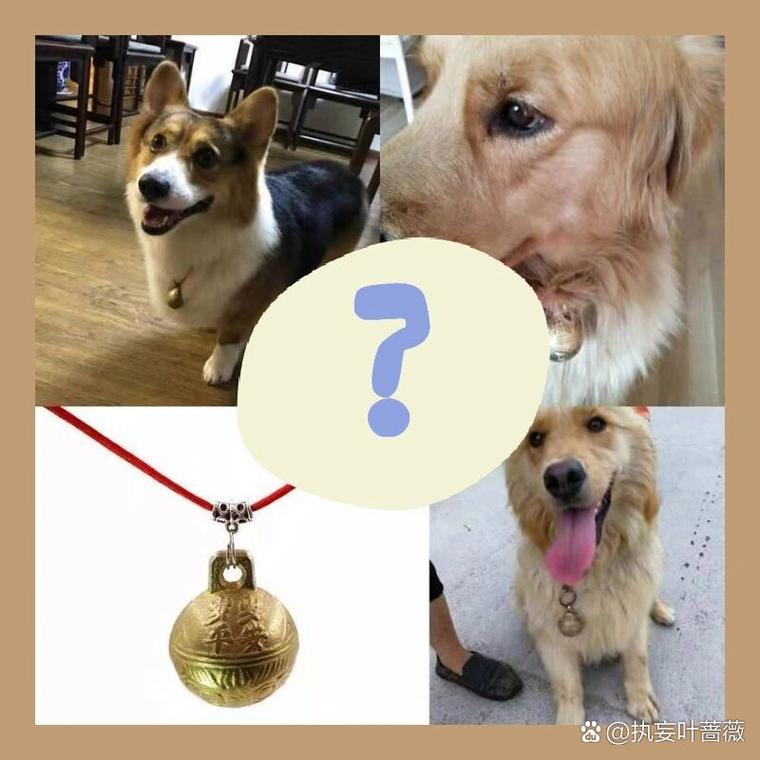 狗狗能带铃铛吗,狗狗可以带小铃铛吗?-第5张图片-后鲨宠物 狗狗能带铃铛吗,狗狗可以带小铃铛吗?-第5张图片-后鲨宠物