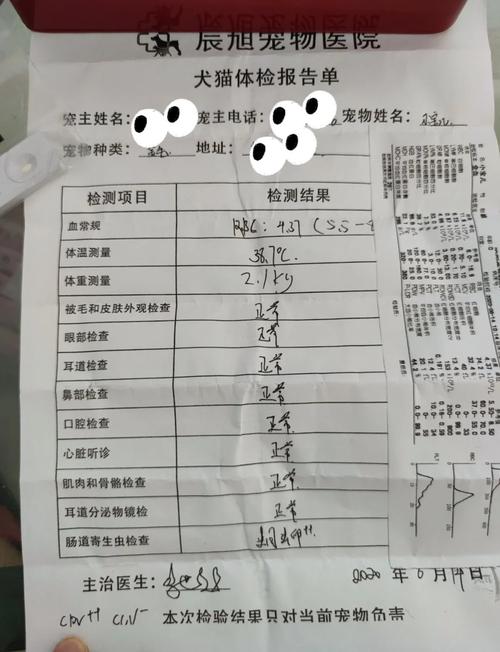 检查狗狗细小多少钱,宠物狗检测细小要多少钱-第4张图片-后鲨宠物 检查狗狗细小多少钱,宠物狗检测细小要多少钱-第4张图片-后鲨宠物