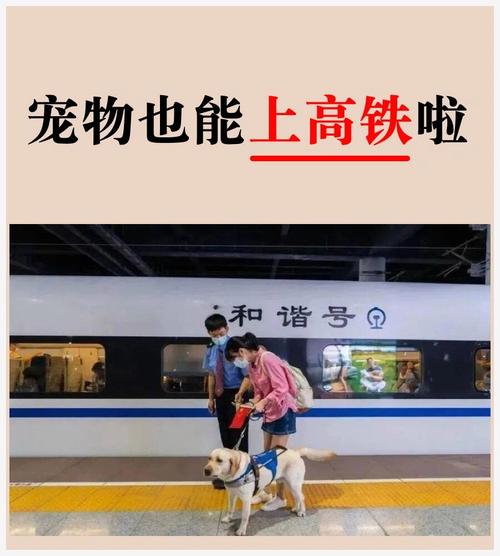 狗狗高铁怎么托运,狗狗高铁托运费用表-第1张图片-后鲨宠物 狗狗高铁怎么托运,狗狗高铁托运费用表-第1张图片-后鲨宠物