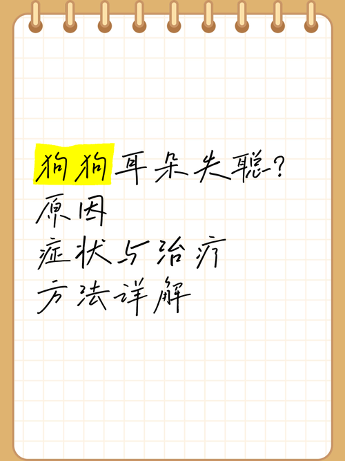 狗狗耳朵聋能治愈吗_狗耳朵聋了是怎么回事-第1张图片-后鲨宠物 狗狗耳朵聋能治愈吗_狗耳朵聋了是怎么回事-第1张图片-后鲨宠物
