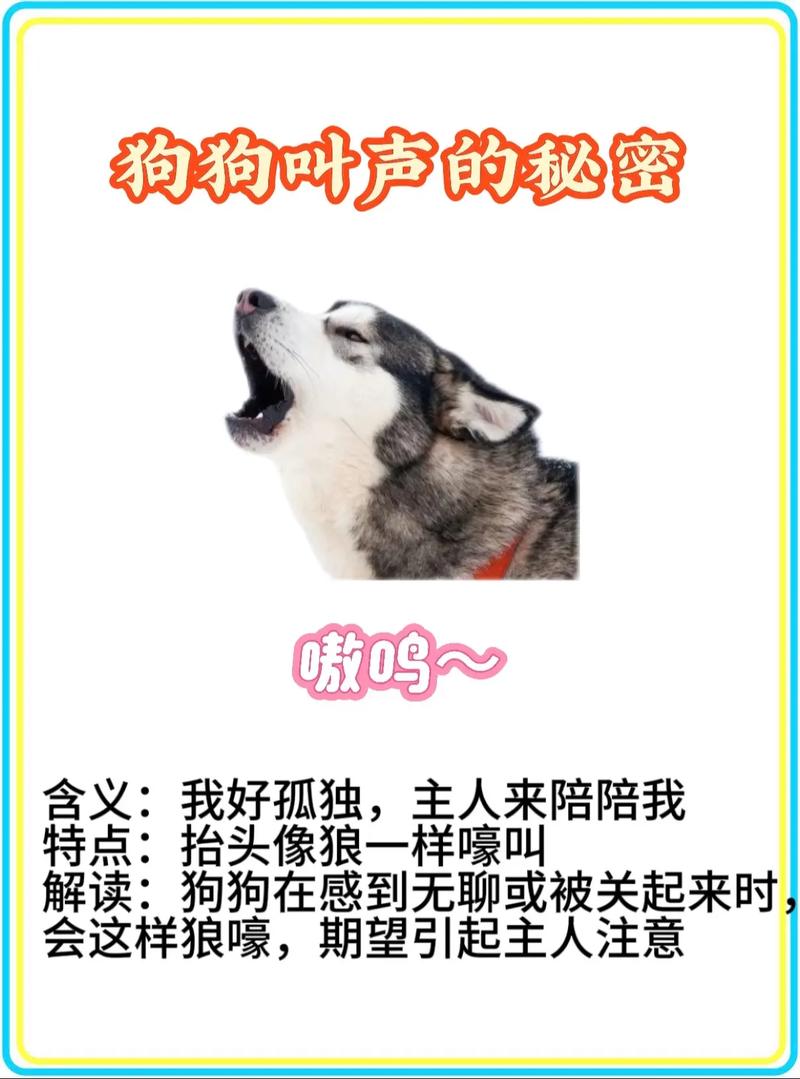 狗狗耳朵聋能治愈吗_狗耳朵聋了是怎么回事-第2张图片-后鲨宠物 狗狗耳朵聋能治愈吗_狗耳朵聋了是怎么回事-第2张图片-后鲨宠物