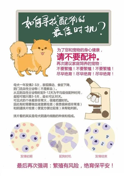 狗狗多大能配种,狗狗多大能配种成功-第5张图片-后鲨宠物 狗狗多大能配种,狗狗多大能配种成功-第5张图片-后鲨宠物