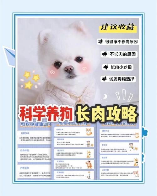 狗狗吃什么长肉,狗狗吃什么长肉快?-第1张图片-后鲨宠物 狗狗吃什么长肉,狗狗吃什么长肉快?-第1张图片-后鲨宠物