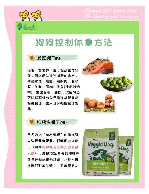 狗狗吃什么长肉,狗狗吃什么长肉快?-第2张图片-后鲨宠物 狗狗吃什么长肉,狗狗吃什么长肉快?-第2张图片-后鲨宠物