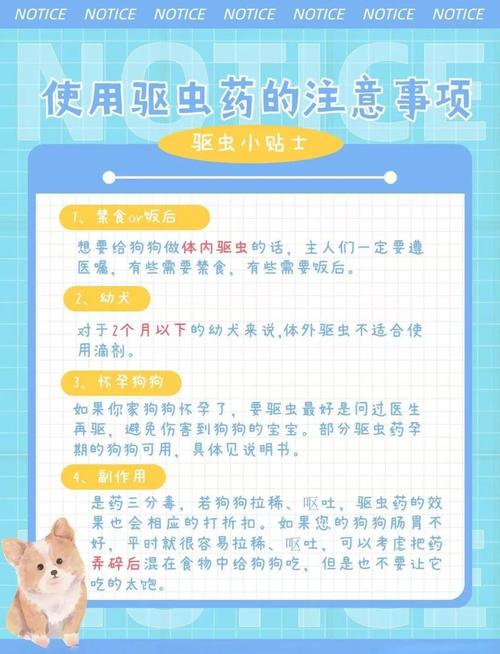 狗狗多久驱一次虫_小狗多久驱一次虫-第2张图片-后鲨宠物 狗狗多久驱一次虫_小狗多久驱一次虫-第2张图片-后鲨宠物