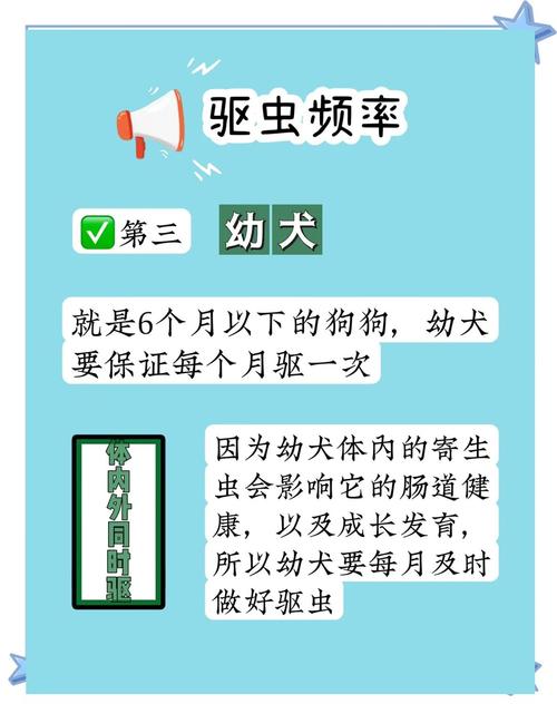 狗狗多久驱一次虫_小狗多久驱一次虫-第4张图片-后鲨宠物 狗狗多久驱一次虫_小狗多久驱一次虫-第4张图片-后鲨宠物
