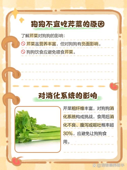 狗狗吃蔬菜好吗,狗狗吃蔬菜会长胖吗?-第1张图片-后鲨宠物 狗狗吃蔬菜好吗,狗狗吃蔬菜会长胖吗?-第1张图片-后鲨宠物