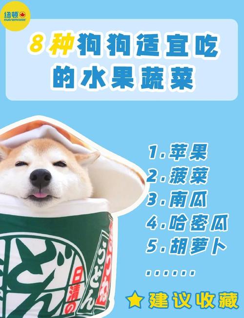 狗狗可以吃山楂吗_狗狗可以吃山楂吗?-第4张图片-后鲨宠物 狗狗可以吃山楂吗_狗狗可以吃山楂吗?-第4张图片-后鲨宠物