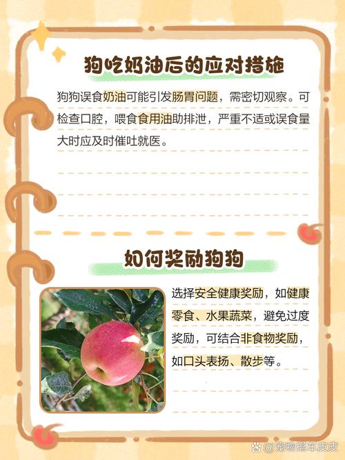 狗狗吃了奶油会怎么样,狗狗吃了奶油怎么补救-第3张图片-后鲨宠物 狗狗吃了奶油会怎么样,狗狗吃了奶油怎么补救-第3张图片-后鲨宠物