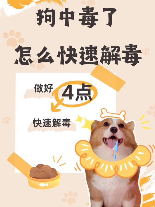 狗狗吃了奶油会怎么样,狗狗吃了奶油怎么补救-第5张图片-后鲨宠物 狗狗吃了奶油会怎么样,狗狗吃了奶油怎么补救-第5张图片-后鲨宠物