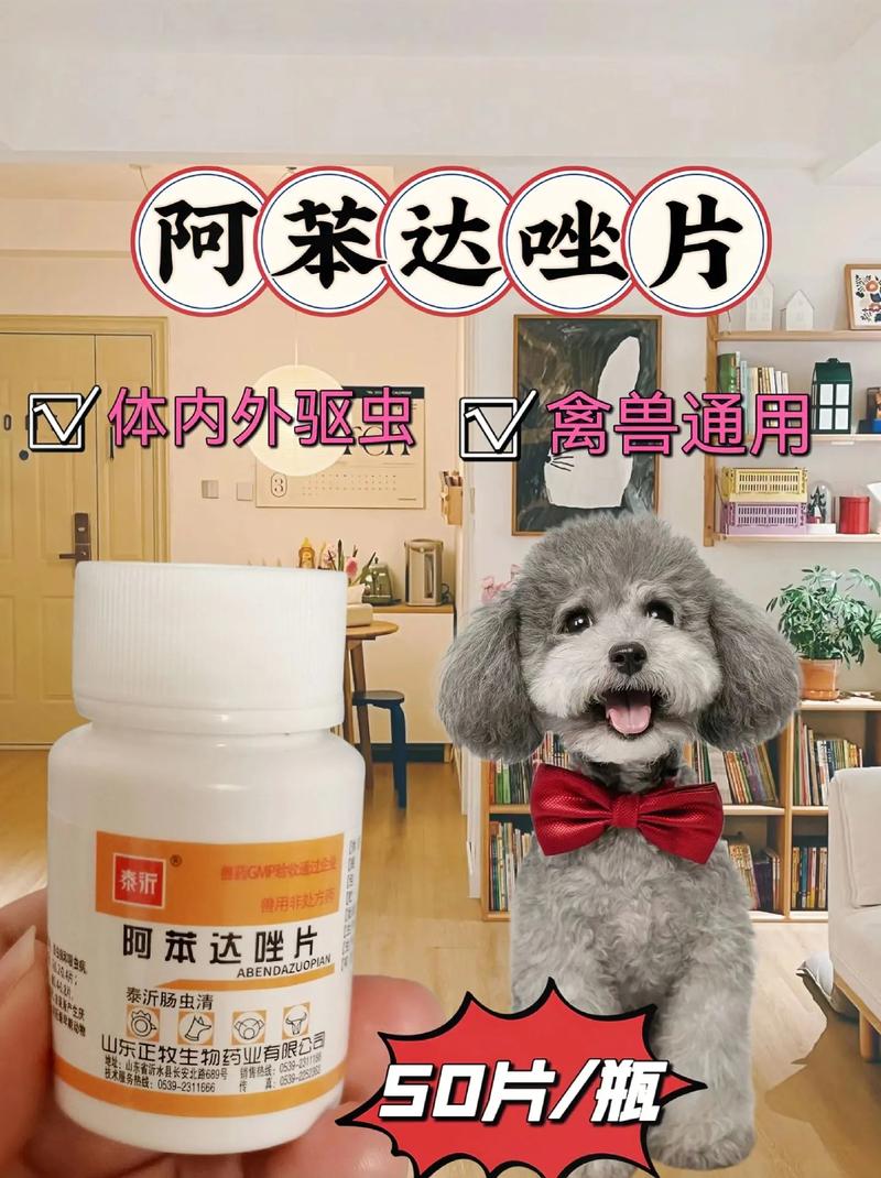 狗狗腹泻可以吃哪些人的药,狗狗腹泻可以吃哪些人的药物?-第5张图片-后鲨宠物 狗狗腹泻可以吃哪些人的药,狗狗腹泻可以吃哪些人的药物?-第5张图片-后鲨宠物