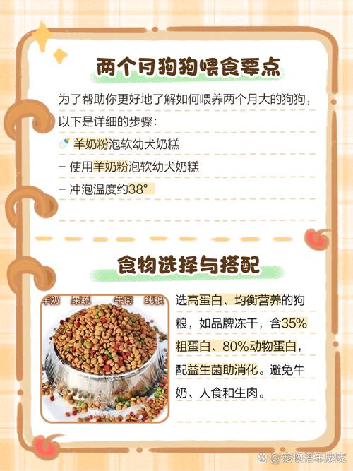 两个月狗狗不吃狗粮怎么办,两个月狗不吃狗粮咋办-第2张图片-后鲨宠物 两个月狗狗不吃狗粮怎么办,两个月狗不吃狗粮咋办-第2张图片-后鲨宠物