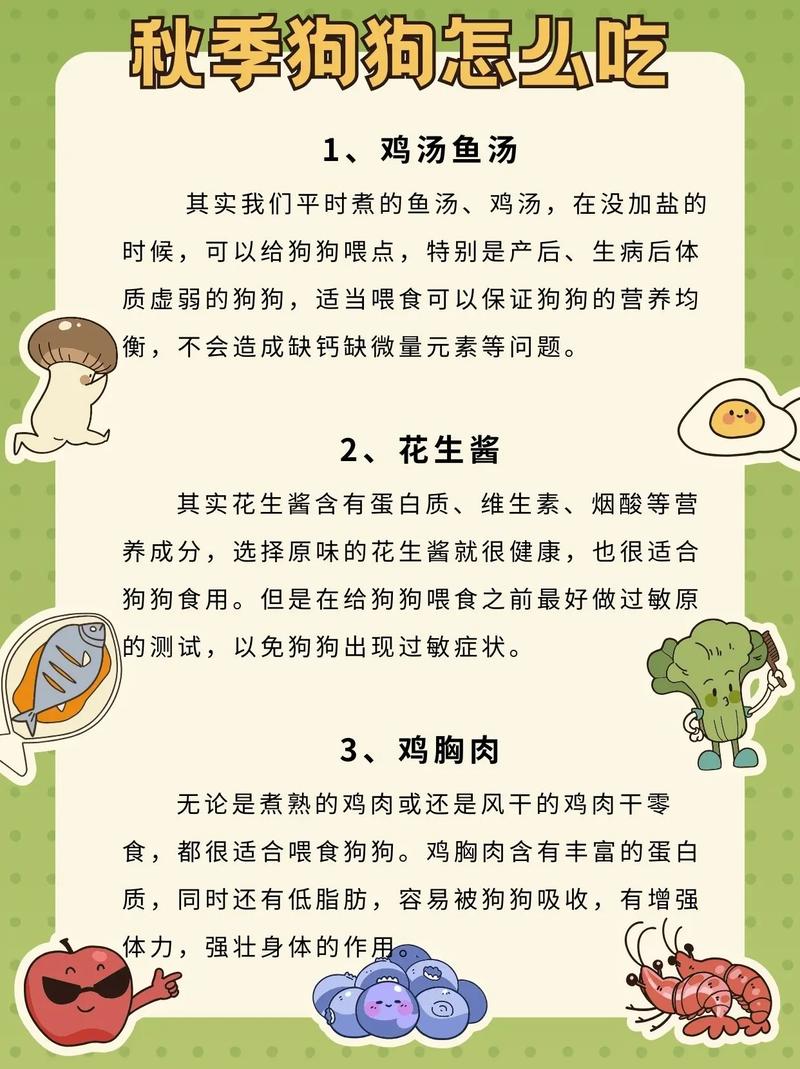 狗狗可以喝鸡汤吗,宠物狗狗可以喝鸡汤吗?-第3张图片-后鲨宠物 狗狗可以喝鸡汤吗,宠物狗狗可以喝鸡汤吗?-第3张图片-后鲨宠物