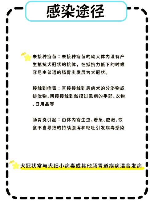 狗狗冠状是什么引起的,狗狗冠状是什么病-第1张图片-后鲨宠物 狗狗冠状是什么引起的,狗狗冠状是什么病-第1张图片-后鲨宠物