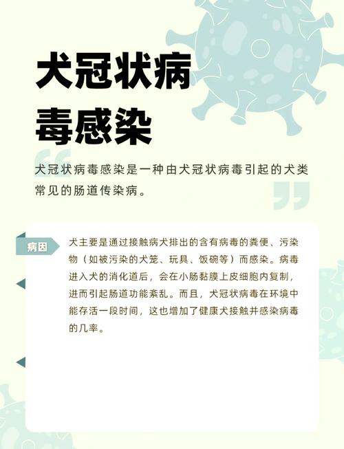 狗狗冠状是什么引起的,狗狗冠状是什么病-第2张图片-后鲨宠物 狗狗冠状是什么引起的,狗狗冠状是什么病-第2张图片-后鲨宠物