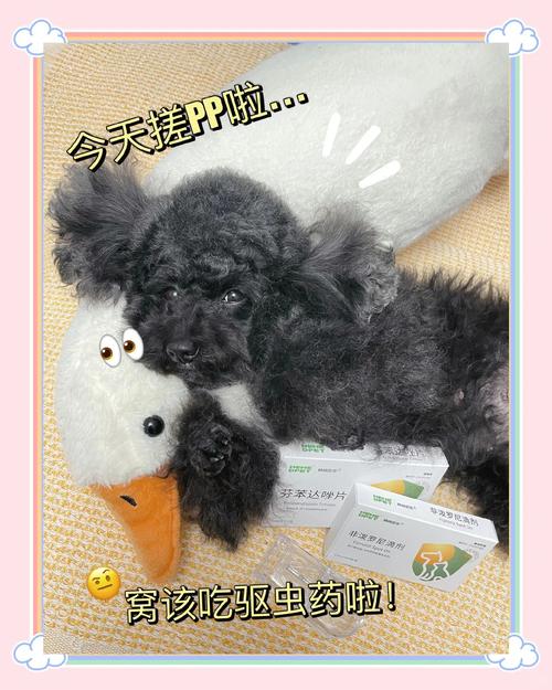 芬苯达唑片狗狗的用量,芬苯达唑狗狗可以驱虫吗-第5张图片-后鲨宠物 芬苯达唑片狗狗的用量,芬苯达唑狗狗可以驱虫吗-第5张图片-后鲨宠物