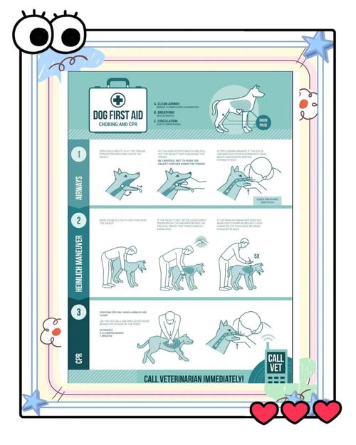 狗狗缺氧急救方法_狗狗缺氧的症状-第3张图片-后鲨宠物 狗狗缺氧急救方法_狗狗缺氧的症状-第3张图片-后鲨宠物