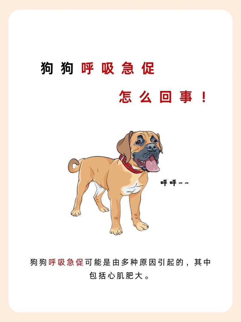 狗狗缺氧急救方法_狗狗缺氧的症状-第5张图片-后鲨宠物 狗狗缺氧急救方法_狗狗缺氧的症状-第5张图片-后鲨宠物