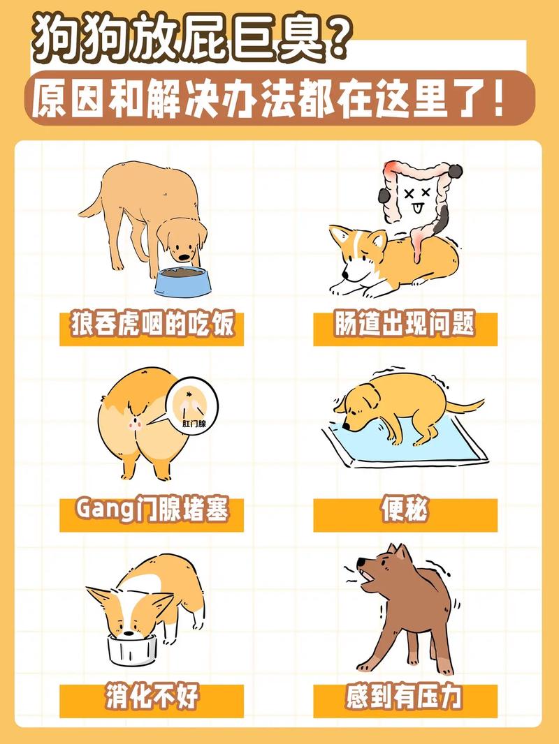 狗狗放屁正常吗,狗狗放屁怎么回事儿-第6张图片-后鲨宠物 狗狗放屁正常吗,狗狗放屁怎么回事儿-第6张图片-后鲨宠物