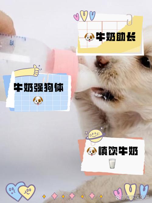 狗狗能喝豆奶吗,狗狗可以喝豆奶粉吗-第4张图片-后鲨宠物 狗狗能喝豆奶吗,狗狗可以喝豆奶粉吗-第4张图片-后鲨宠物