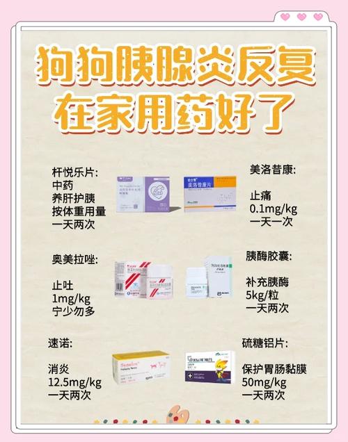 狗狗能吃的消炎药_狗狗消炎药排名一览表-第1张图片-后鲨宠物 狗狗能吃的消炎药_狗狗消炎药排名一览表-第1张图片-后鲨宠物