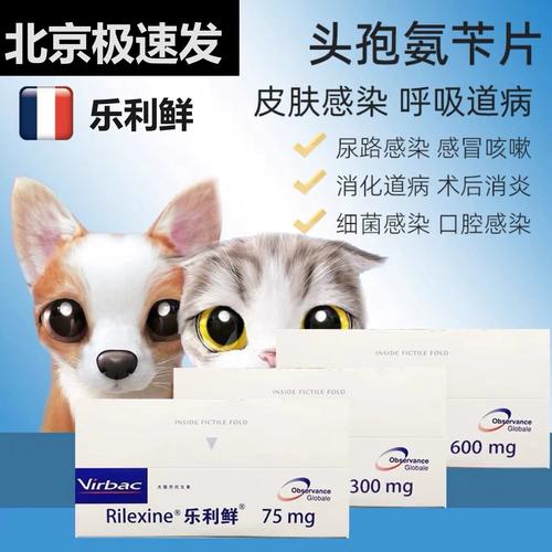 狗狗能吃的消炎药_狗狗消炎药排名一览表-第3张图片-后鲨宠物 狗狗能吃的消炎药_狗狗消炎药排名一览表-第3张图片-后鲨宠物