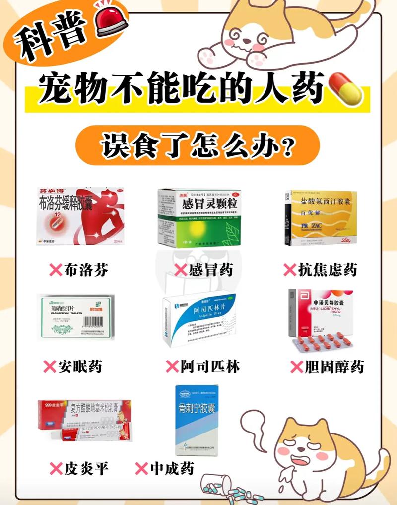 狗狗可以吃人的药吗_狗狗能吃人的药-第3张图片-后鲨宠物 狗狗可以吃人的药吗_狗狗能吃人的药-第3张图片-后鲨宠物