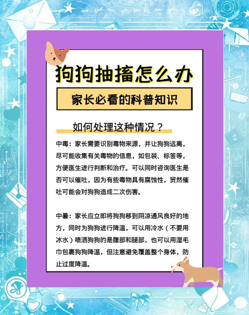 狗狗抽搐怎么办,狗狗抽搐最简单处理方法?-第3张图片-后鲨宠物 狗狗抽搐怎么办,狗狗抽搐最简单处理方法?-第3张图片-后鲨宠物