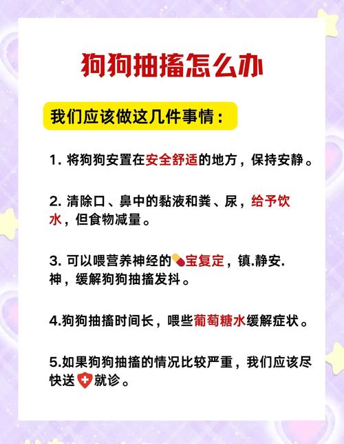狗狗抽搐怎么办,狗狗抽搐最简单处理方法?-第4张图片-后鲨宠物 狗狗抽搐怎么办,狗狗抽搐最简单处理方法?-第4张图片-后鲨宠物