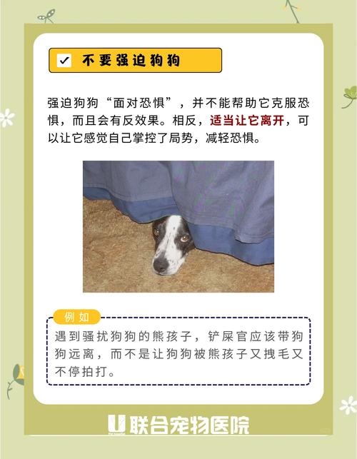 狗狗害怕打雷怎么办_狗狗怕打雷一直打颤怎么办-第2张图片-后鲨宠物 狗狗害怕打雷怎么办_狗狗怕打雷一直打颤怎么办-第2张图片-后鲨宠物