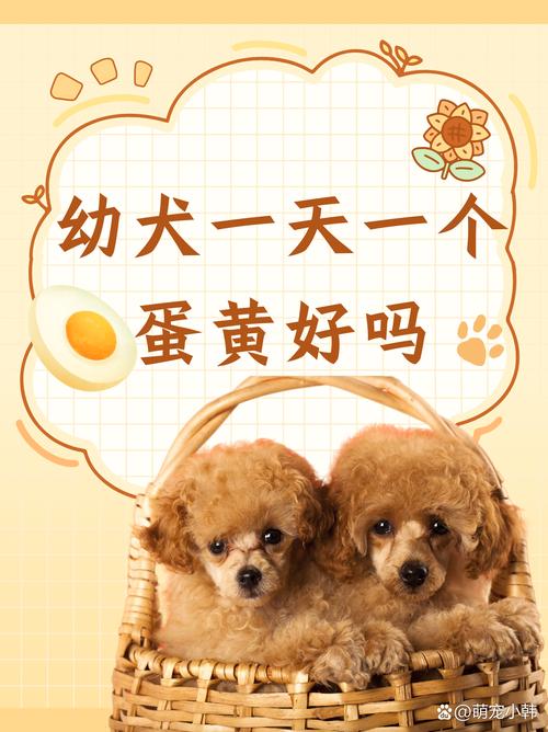 狗狗多大可以吃蛋黄_狗狗多大能吃蛋黄-第1张图片-后鲨宠物 狗狗多大可以吃蛋黄_狗狗多大能吃蛋黄-第1张图片-后鲨宠物