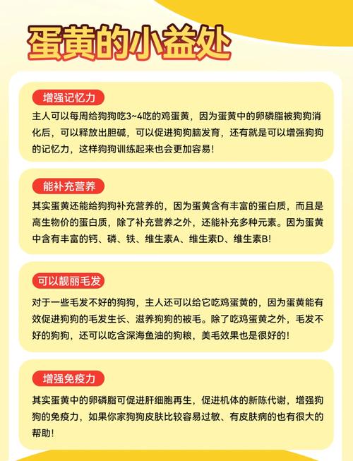 狗狗多大可以吃蛋黄_狗狗多大能吃蛋黄-第2张图片-后鲨宠物 狗狗多大可以吃蛋黄_狗狗多大能吃蛋黄-第2张图片-后鲨宠物