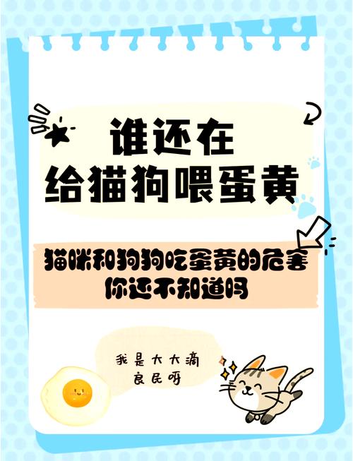 狗狗多大可以吃蛋黄_狗狗多大能吃蛋黄-第3张图片-后鲨宠物 狗狗多大可以吃蛋黄_狗狗多大能吃蛋黄-第3张图片-后鲨宠物