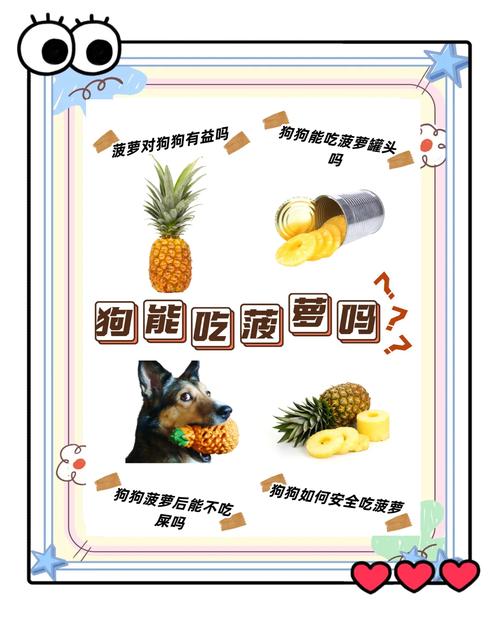 小狗狗可以吃菠萝吗,小狗狗可以吃菠萝吗为什么?-第6张图片-后鲨宠物 小狗狗可以吃菠萝吗,小狗狗可以吃菠萝吗为什么?-第6张图片-后鲨宠物
