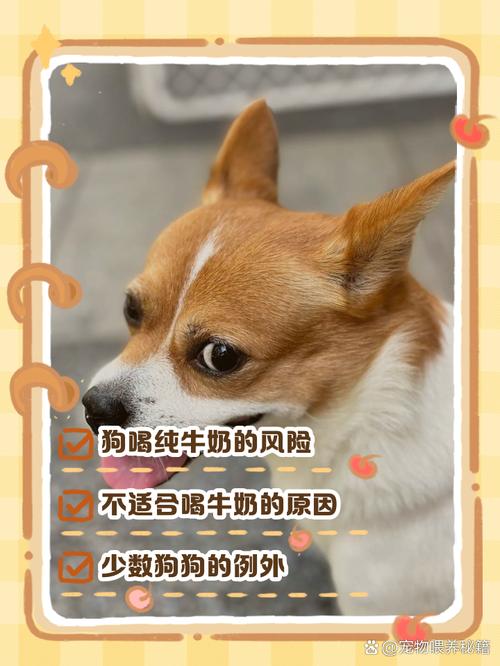 狗狗可以喝婴儿奶粉吗,小狗能喝婴儿奶粉吗??-第4张图片-后鲨宠物 狗狗可以喝婴儿奶粉吗,小狗能喝婴儿奶粉吗??-第4张图片-后鲨宠物