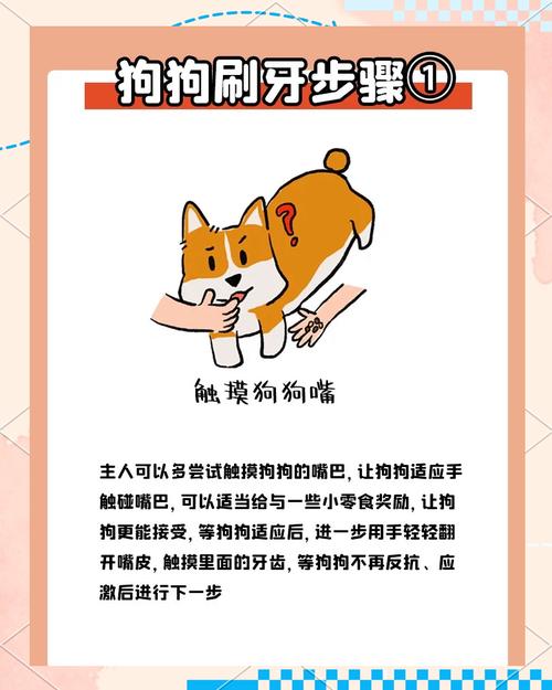 如何给狗狗刷牙,怎样帮狗狗刷牙?-第1张图片-后鲨宠物 如何给狗狗刷牙,怎样帮狗狗刷牙?-第1张图片-后鲨宠物