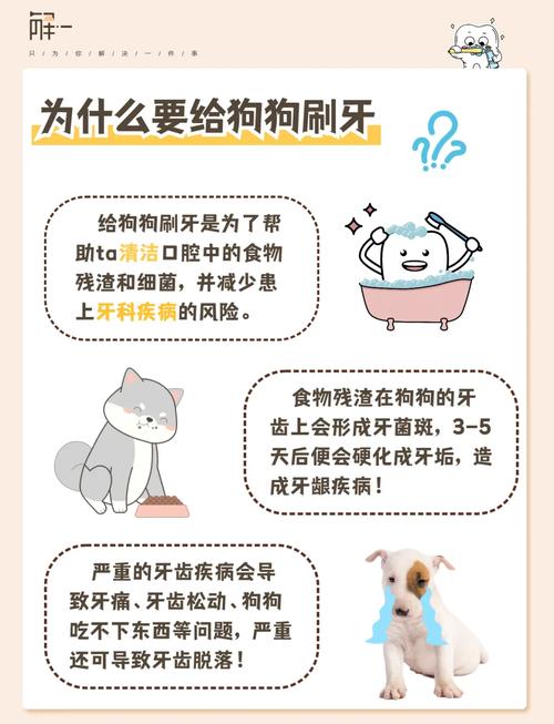 如何给狗狗刷牙,怎样帮狗狗刷牙?-第2张图片-后鲨宠物 如何给狗狗刷牙,怎样帮狗狗刷牙?-第2张图片-后鲨宠物