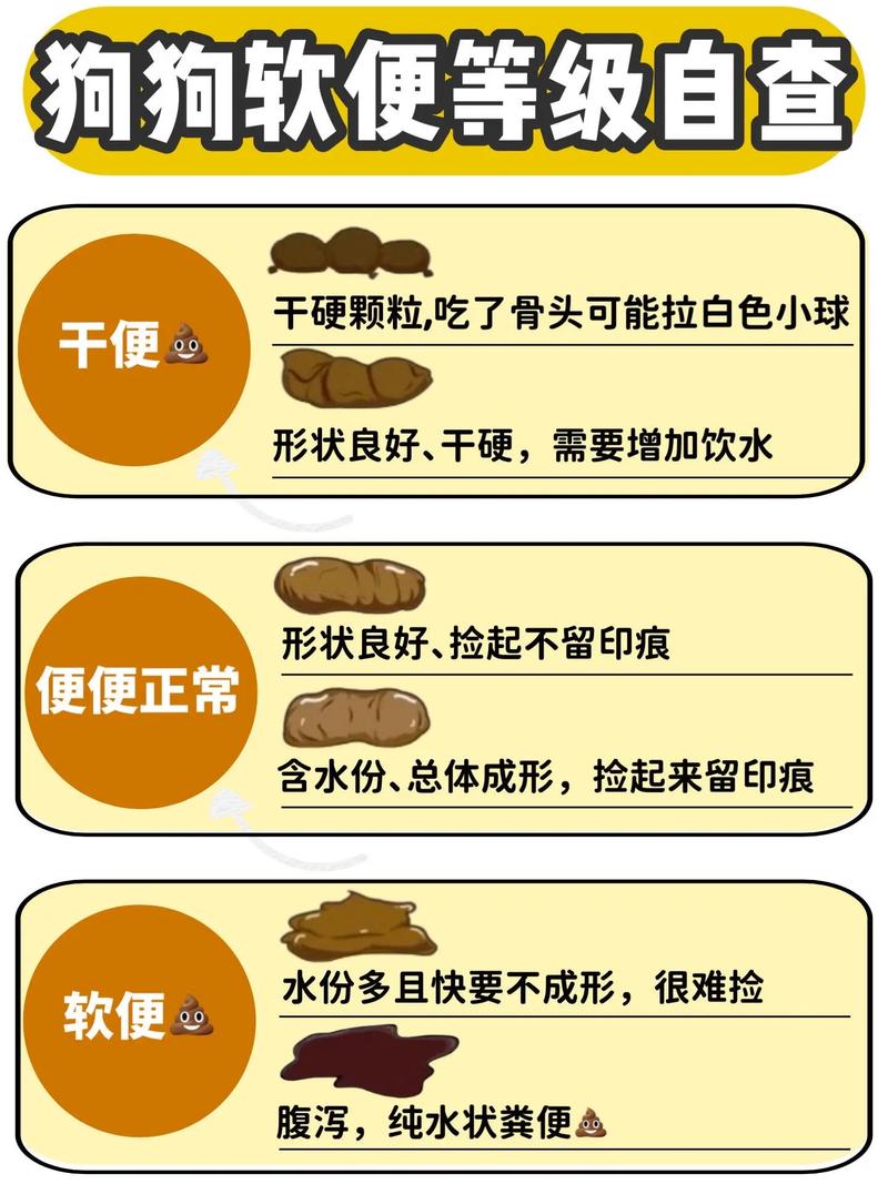 狗狗软便怎么办,狗狗软便便?-第4张图片-后鲨宠物 狗狗软便怎么办,狗狗软便便?-第4张图片-后鲨宠物