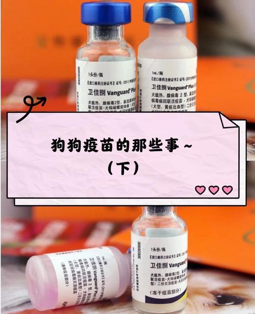  狗狗打疫苗有什么好处，狗打疫苗的好处-第2张图片-后鲨宠物