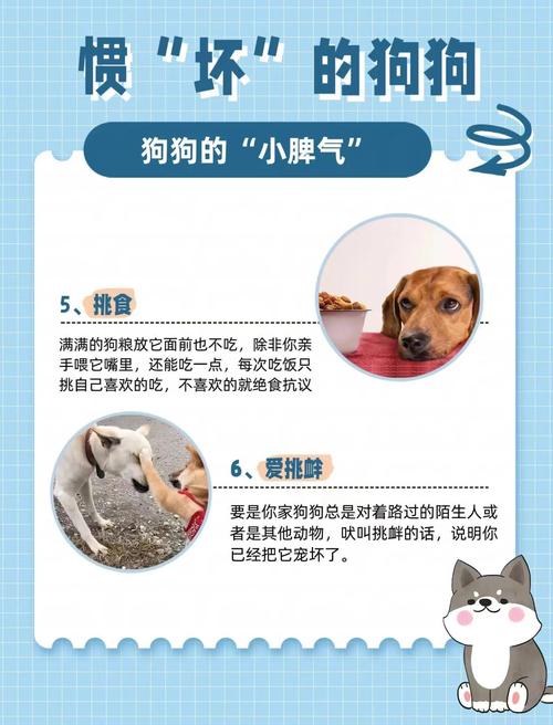 狗狗脾气不好怎么训练_狗狗脾气不好的原因-第1张图片-后鲨宠物 狗狗脾气不好怎么训练_狗狗脾气不好的原因-第1张图片-后鲨宠物