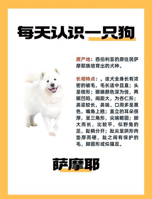 狗狗脾气不好怎么训练_狗狗脾气不好的原因-第3张图片-后鲨宠物 狗狗脾气不好怎么训练_狗狗脾气不好的原因-第3张图片-后鲨宠物